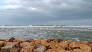 طقس السعودية: رياح وأتربة على 9 مناطق وتحذيرات من الأرصاد