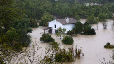فيضانات البرازيل: 46 قتيلاً وآلاف النازحين في ميناس جيرايس