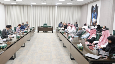 Yemen Humanitarian Response Plan: Efforts of the King Salman Center and the United Nations