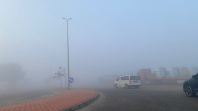 Early morning fog covers 5 Saudi regions... and the Meteorology Department issues a warning