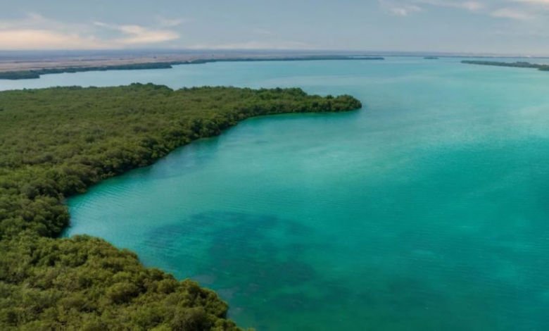 Saudi Arabia's nature reserves: Riyadh leads the way, and "Uruq Bani Ma'aridh" is the largest