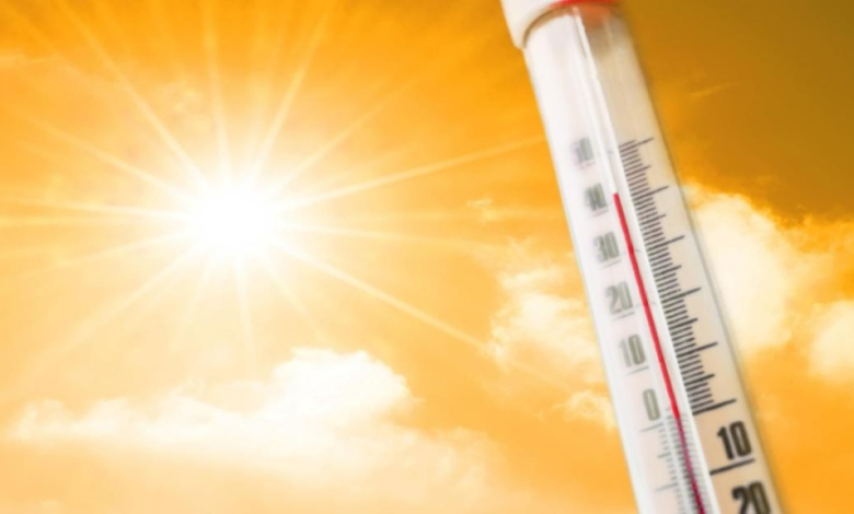 Saudi Arabia weather: Expected temperatures today in the Kingdom's cities