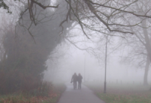 تحذير الأرصاد: ضباب كثيف في الباحة يحد من الرؤية حتى الصباح